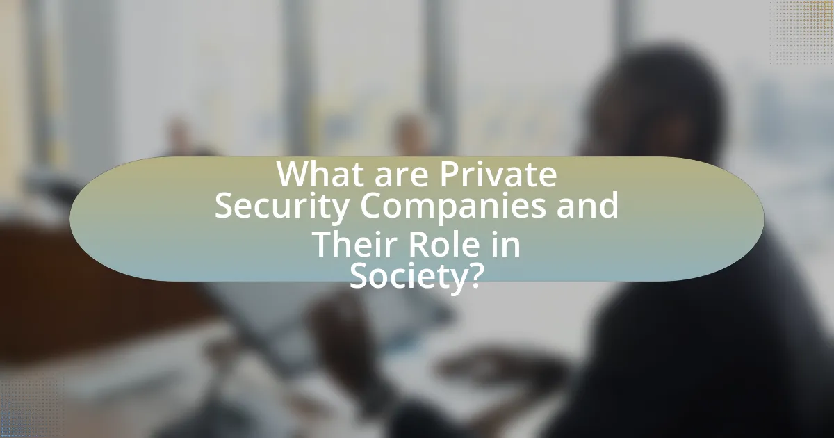 What are Private Security Companies and Their Role in Society?